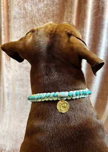 Pet collar "GEORGES" Turquoise